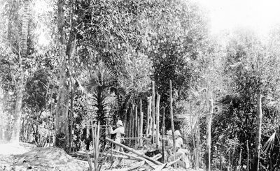 Britse Troepen die Vechten in de Birmaanse Jungle door English Photographer
